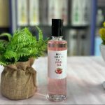 Hanna's Secret 100ml Monogotas Fresa